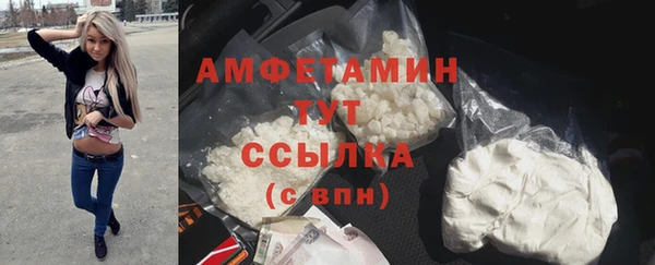 крисы Осинники