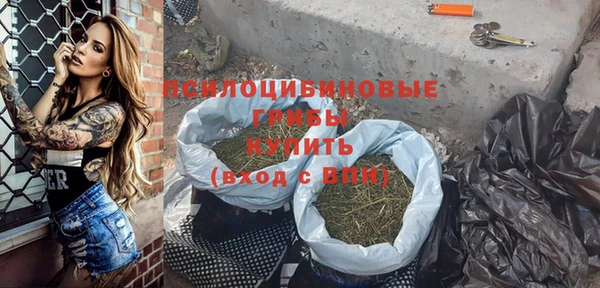 крисы Осинники
