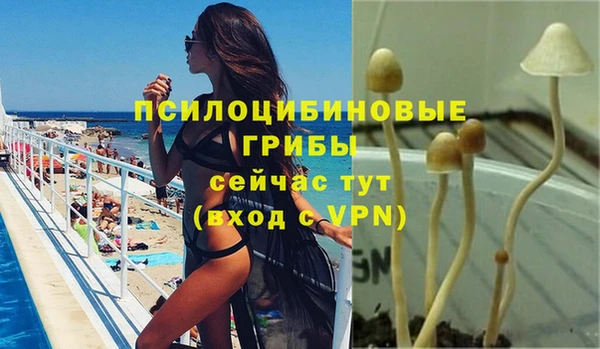 mdpv Остров
