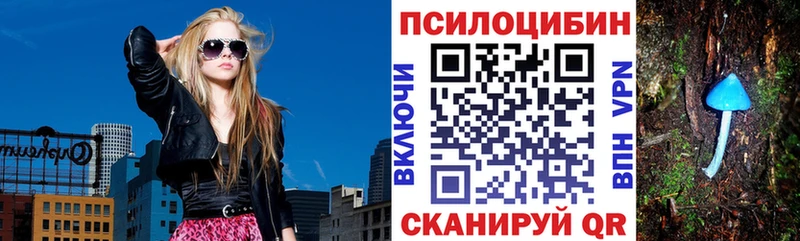Псилоцибиновые грибы Psilocybine cubensis  Тара 