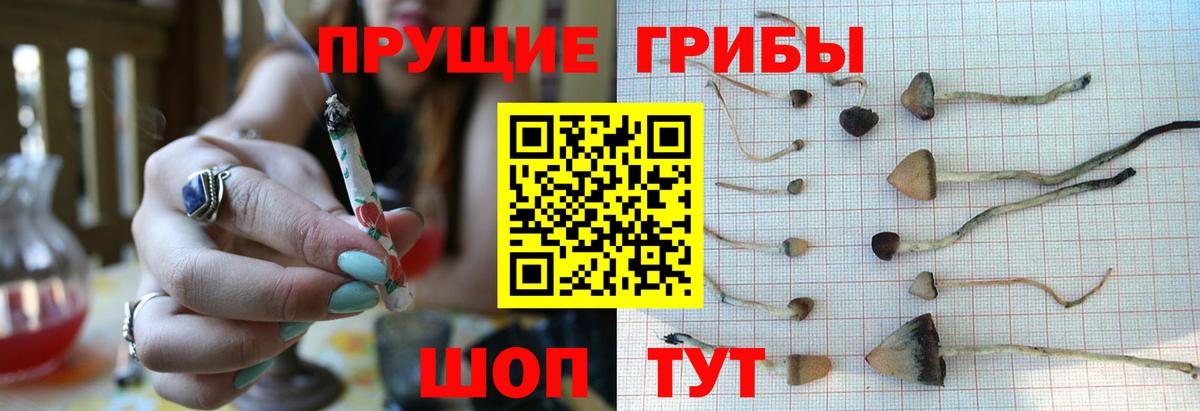 Псилоцибиновые грибы Magic Shrooms  Вход с VPN  Тара 