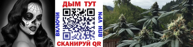 Каннабис планчик  сколько стоит  Тара 